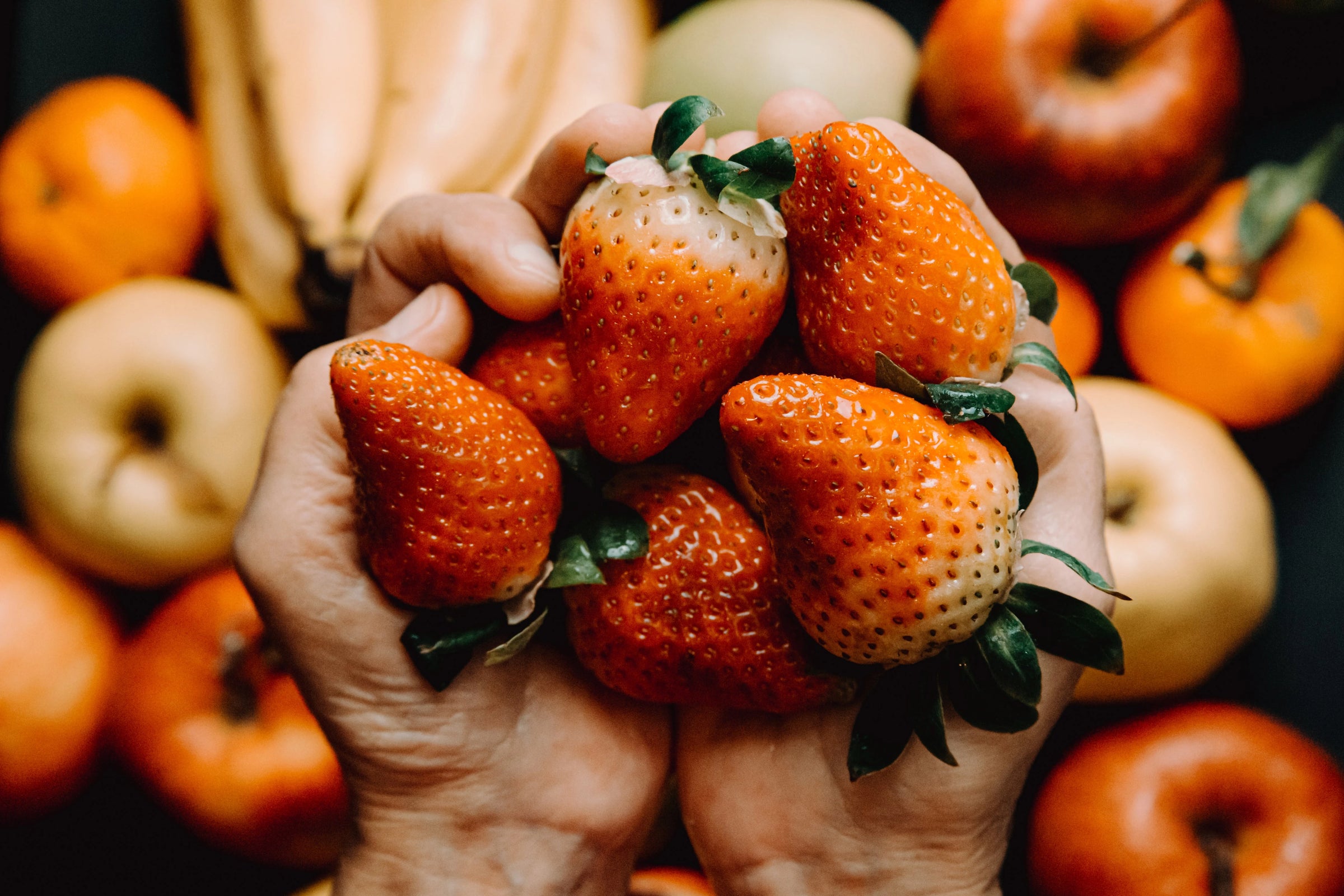 hands cup strawberries with apples below