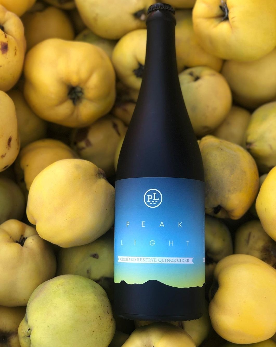 Peak Light Cider - Orchard Reserve Quince Cider (750 mL)