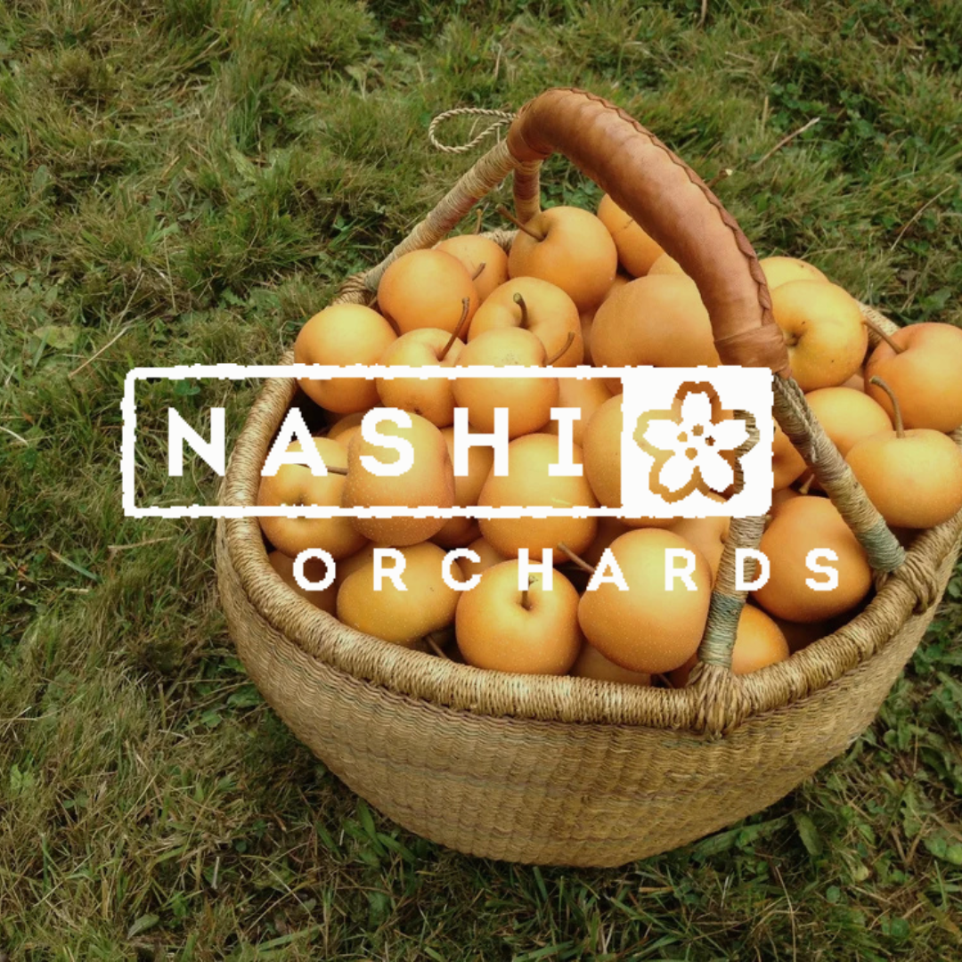 Nashi Orchards Cidery Cider Perry Asian Pear Vashon Island Hood River Oregon Washington Apples