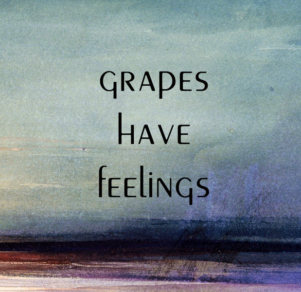 Botanist & Barrel - Grapes Have Feelings (375 mL)