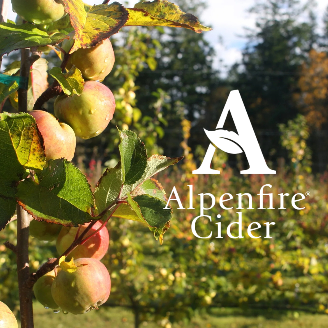Alpenfire Cider - Pyder Plank (750 mL)