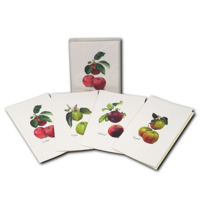 *Cider Apple Greeting Cards | Blank or Add-A-Note