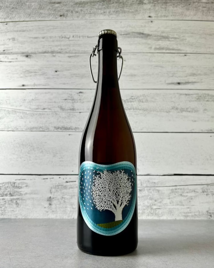 Art + Science Cider - Quercus Alba Cider 2020 (750 mL) - Cider - Art+Science Cider Hard Cider