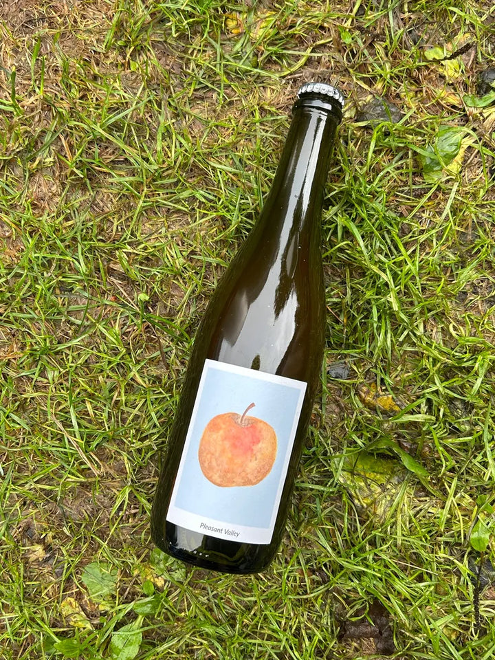 Carola Wine + Cider - Pleasant Valley (750 mL)
