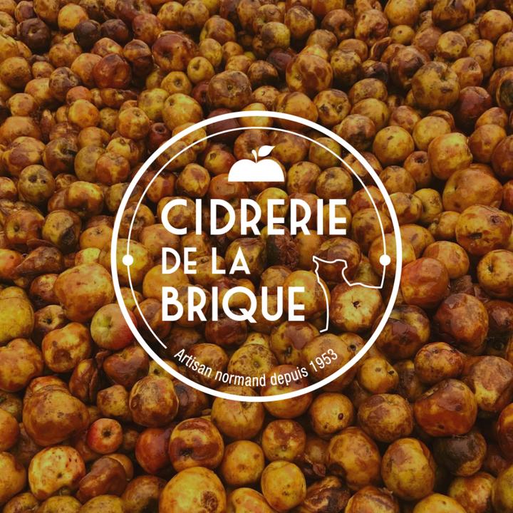 Cidrerie de la Brique - Le Brut Bio (750 mL)