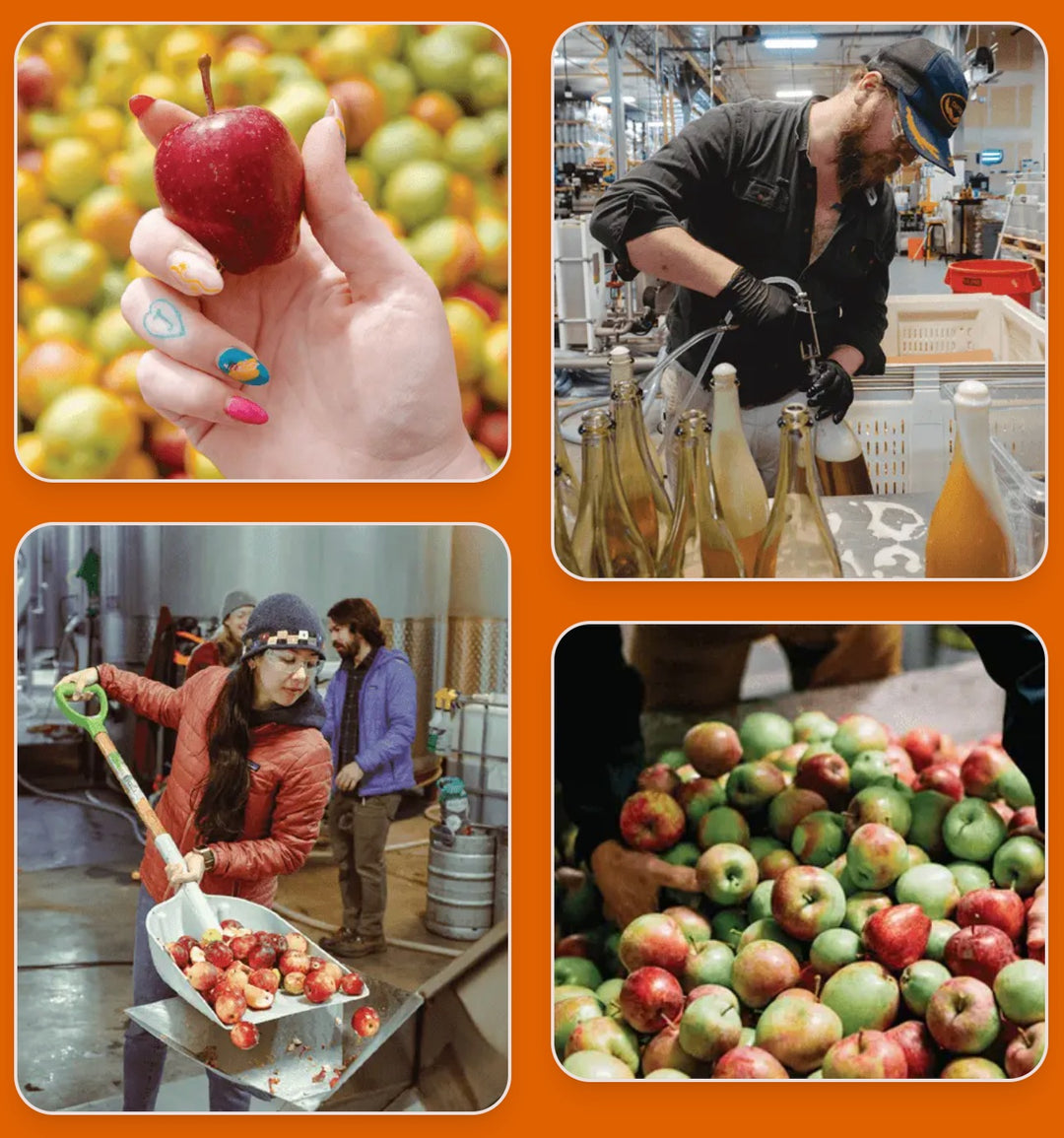 Seattle Cider - City Fruit 2025 (750 mL)