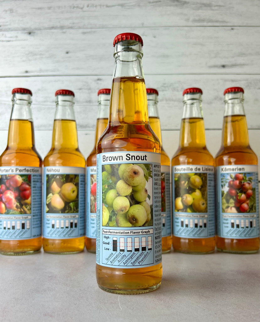 Brown Snout single varietal cider with post-fermentation flavor graph on label, including levels of tannins, aromatics, acidity, astringent, sweetness, and phenolics