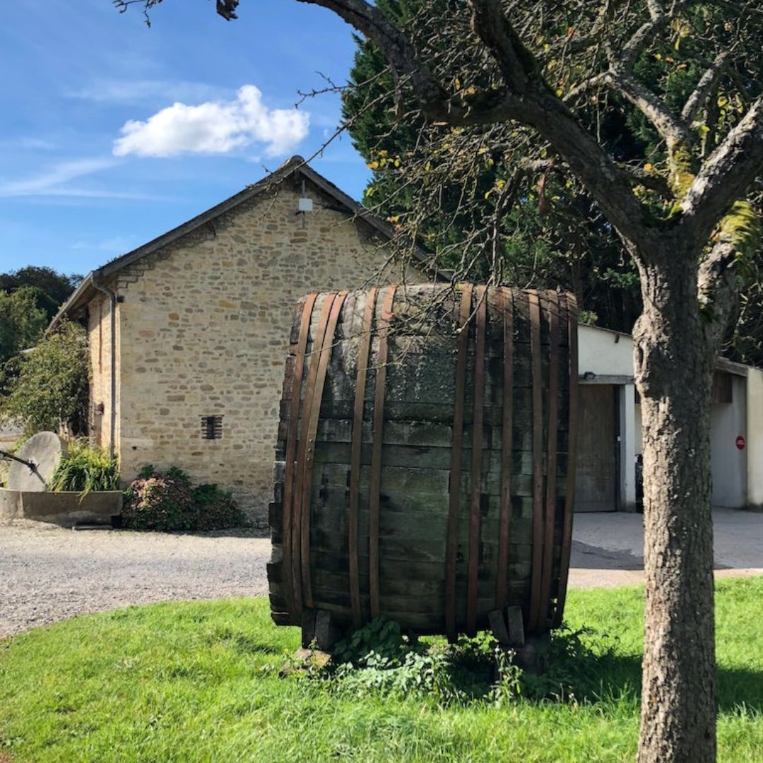 French Cider Cidre Normandie Normandy Pommeau