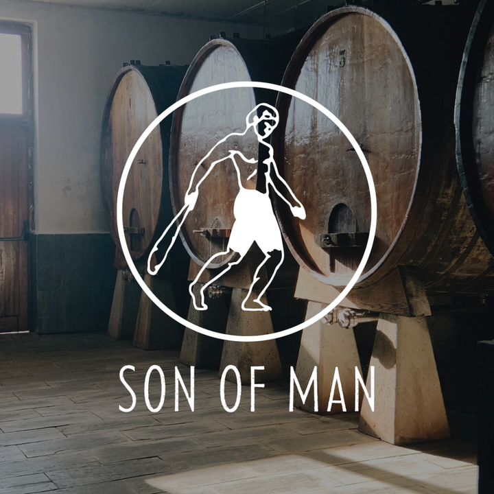 Son of Man - Sagardo Cider (750 mL)