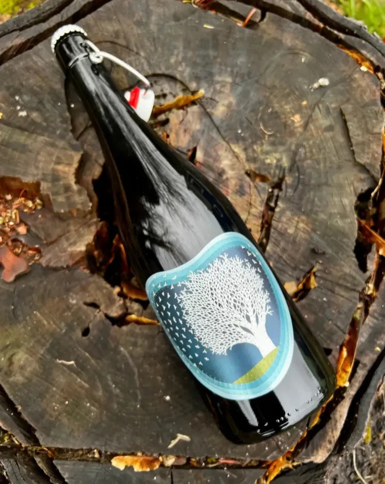 Art + Science Cider - Quercus Alba Cider 2020 (750 mL) - Cider - Art+Science Cider Hard Cider