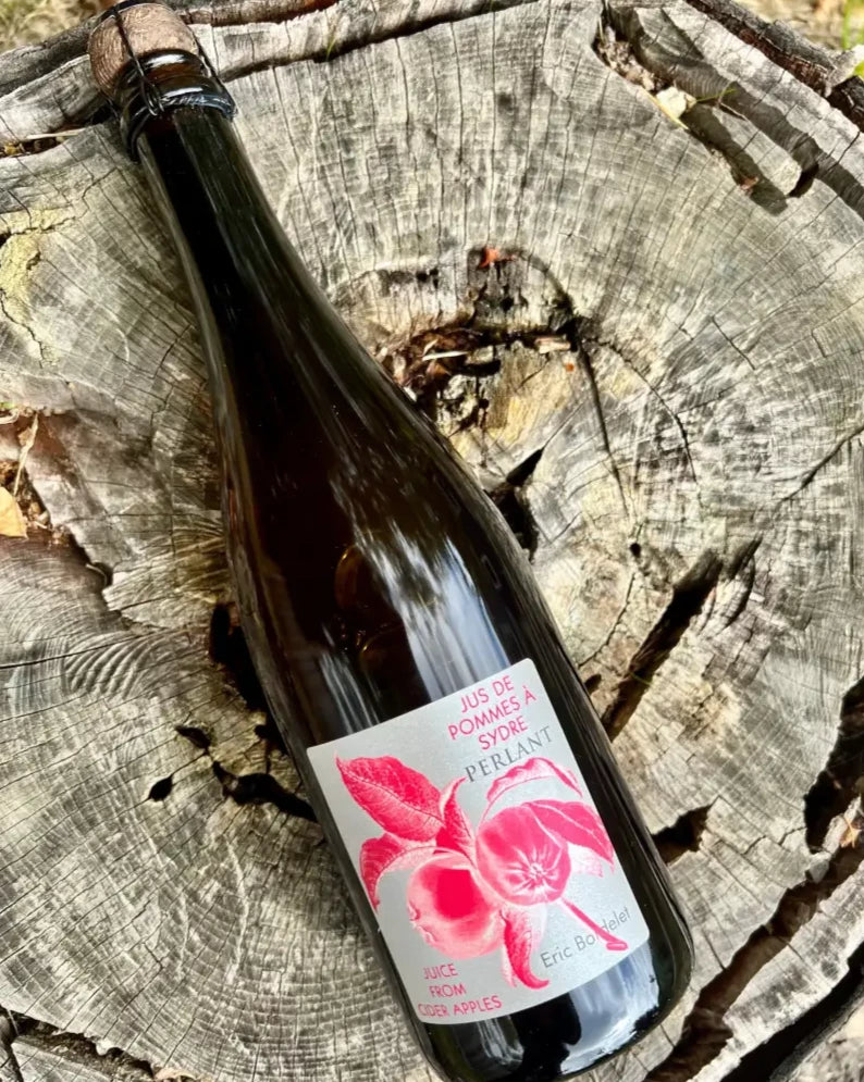 Photo of a 750 mL bottle of Eric Bordelet Perlant juice on top of a stump - Jus de Pommes A Sydre - Juice from Apples - non-alcoholic sparkling sweet cider