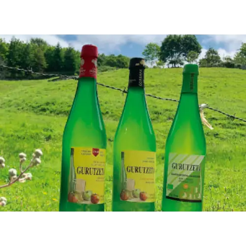 Gurutzeta - Sidra Ecologica (750 mL) - Cider - Sidrería Basque Ciders Hard