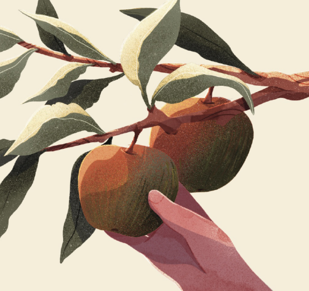 Maison Gamet - Le Cidre Avrolles (750 mL)