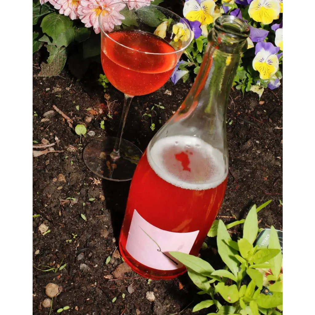 Revel Cider - Spring - Hard