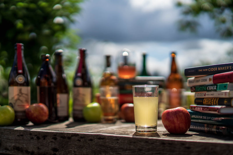 The Bargain Box of Cider (6 Bottles) - Free Shipping - Cider - Press Then Press Cider Bundles Hard Cider