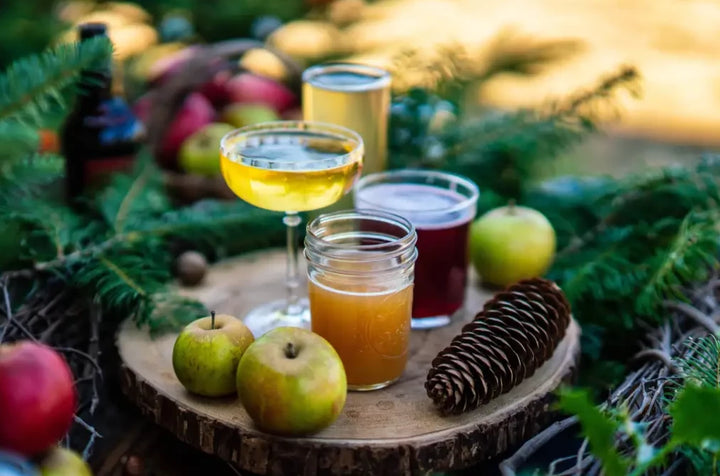 The Tasting Flight - The Perfect Cider Sample Pack - Cider - Press Then Press Cider Bundles Hard Cider